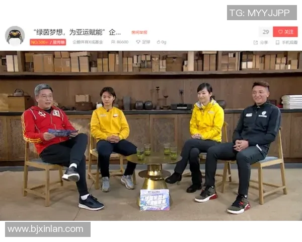 足球明星刘成的妻子揭秘她的生活与事业背后的故事